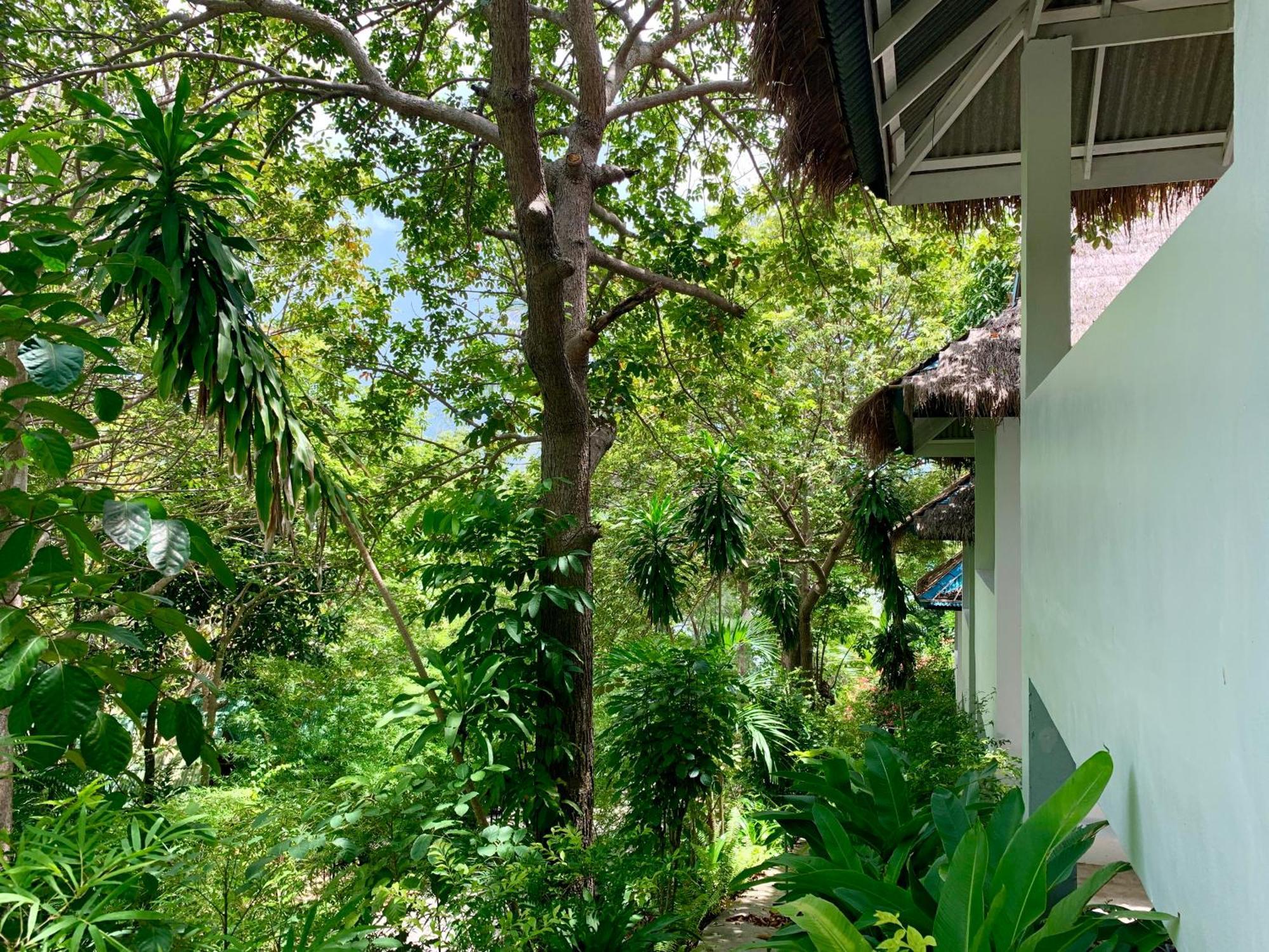 Coconut Beach Bungalows Chaloklum Habitación foto